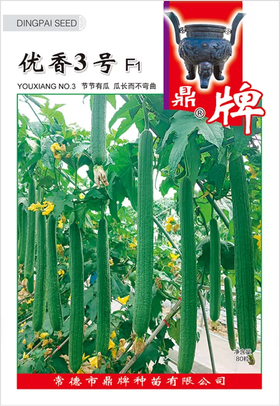 它是絲瓜種植戶的新選擇，節(jié)節(jié)有瓜，瓜長(zhǎng)而不彎曲