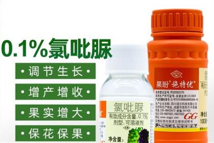 蔬菜種子栽培技術(shù)-<b>正確使用“氯吡脲”，瓜類增產(chǎn)30～50%</b>